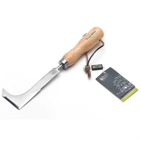 Cleaning knife stainless steel