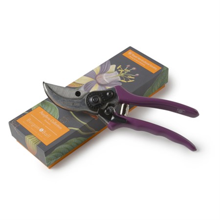 Secateur Passiflora pres.ask