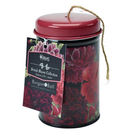 String in a can - British Bloom