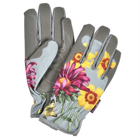 Handske - Asteraceae