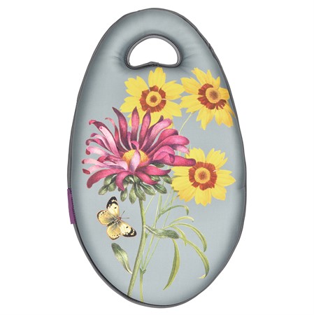 Knädyna Kneelo - Asteraceae