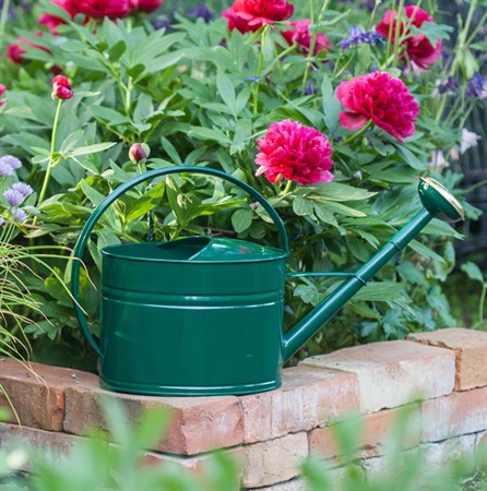 GardenMind Can Oval with rose Dark Green 1.7 L