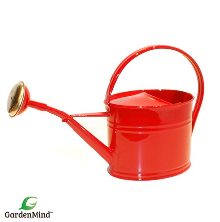 GardenMind Can Oval with rose Dark red 1.7 L