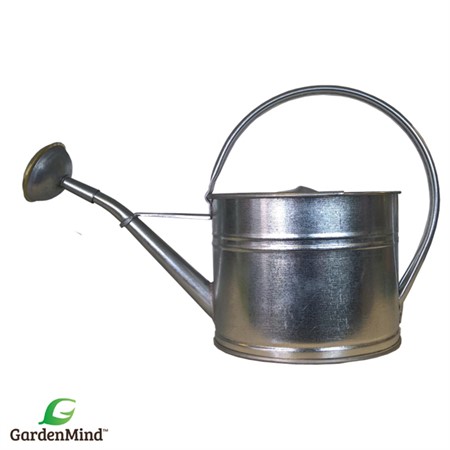 GardenMind Can Oval with rose Zinc 1.7 L
