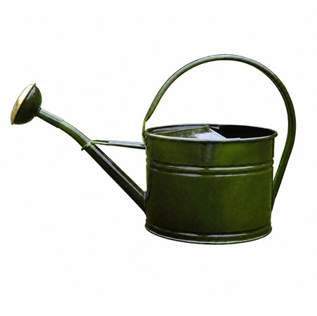Vattenkanna oval m stril, Patina 1,7 L