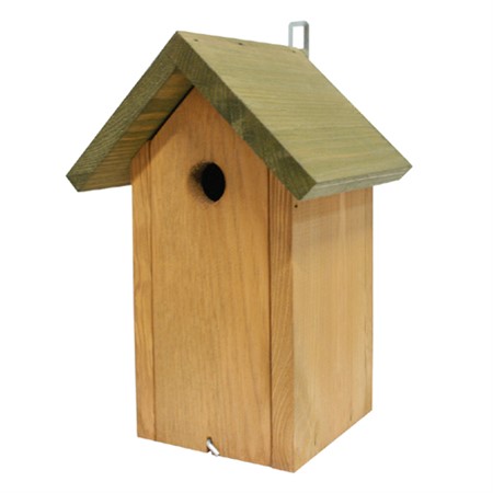 Holk, (28 mm) oak/green - Naturemind