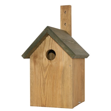 Nest box Starling, (35 mm) oak/green - Naturemind