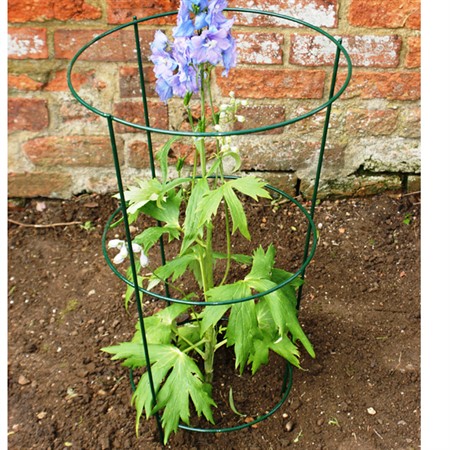 Plant support, round h 61 x dia 25 cm