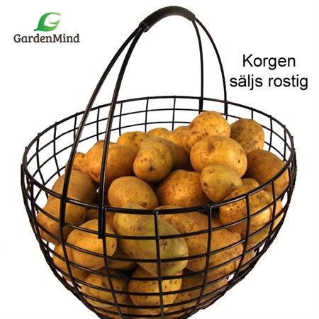 Basket with longitudinal handle, rusty