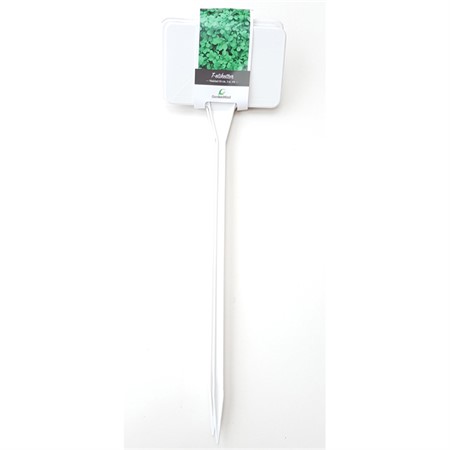 T-label angled 53 cm, white 3 pcs