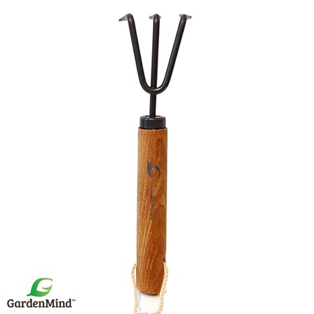 Mini-Rake Houseplant