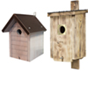 Birdhouses and nests