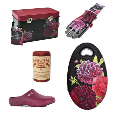 Red, black &amp; British Bloom