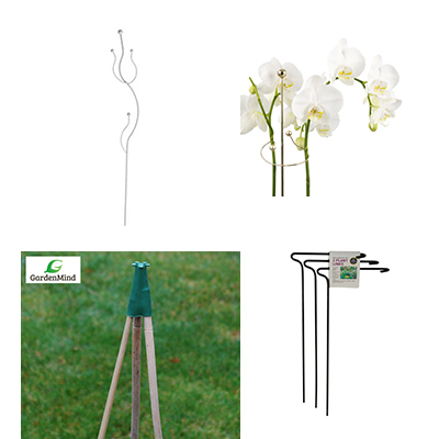 Trellis &amp; Support