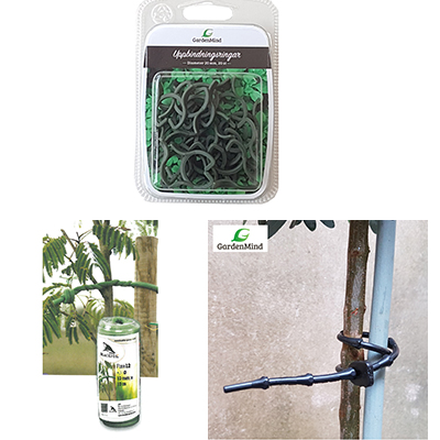 Plant support and Accessories