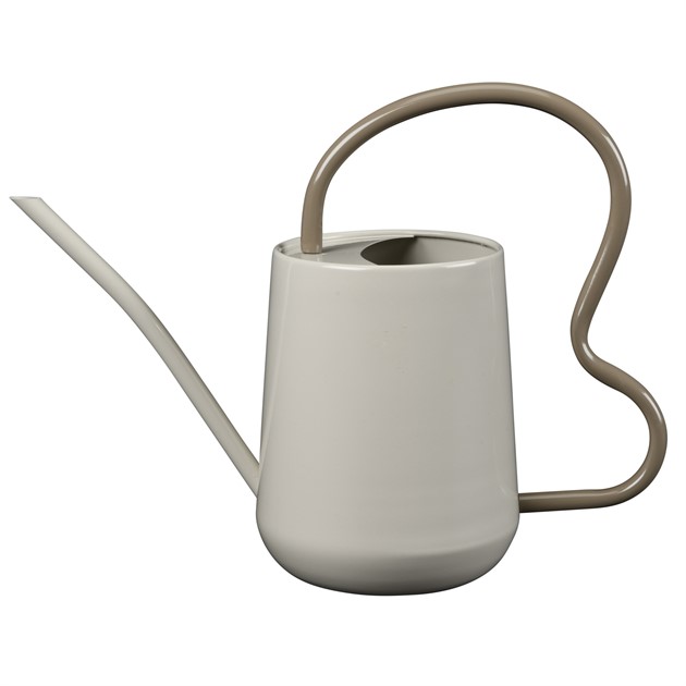 Vattenkanna Vågkantad , champinjon