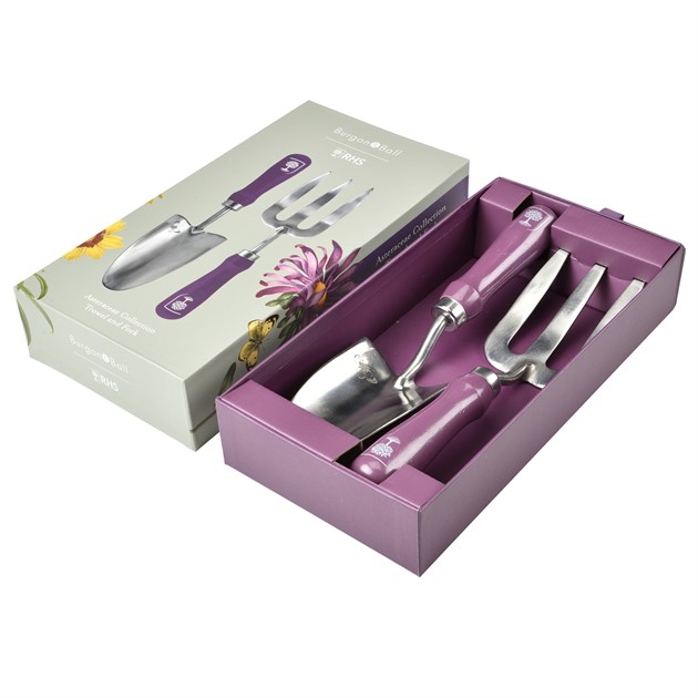 Handspade+handgrep, Asteraceae - pres.ask