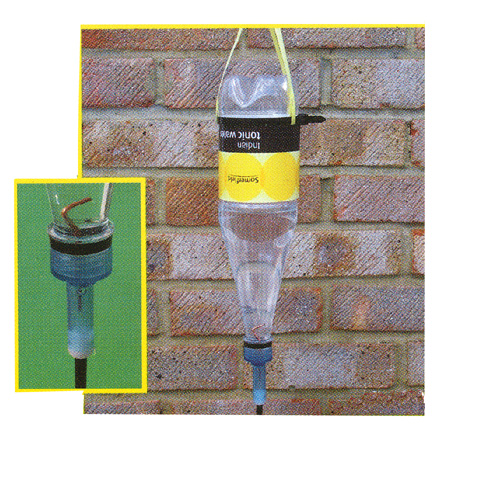 Bevattningsspik-dropp