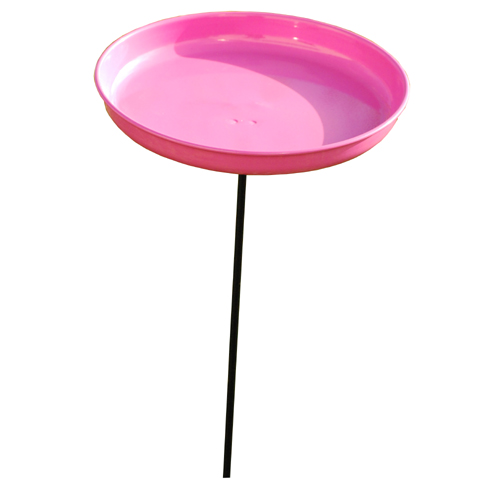 Fågelbad runt rosa dia 20cm på pinne 90cm