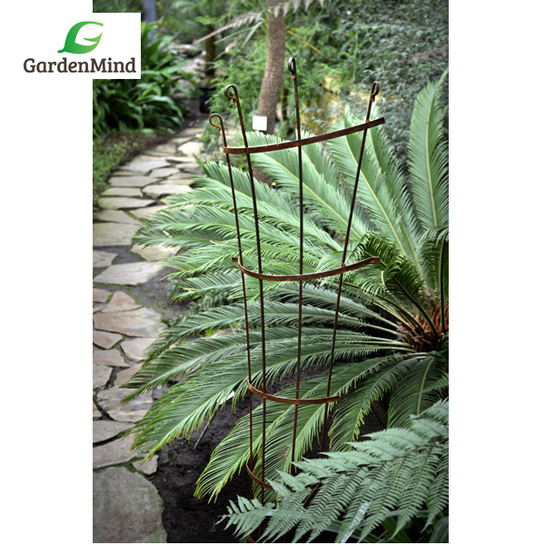 Vägg-spaljé rost, h179xb50xd14 cm