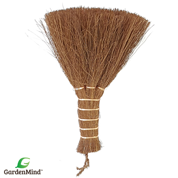 Mini-Borste krukväxt