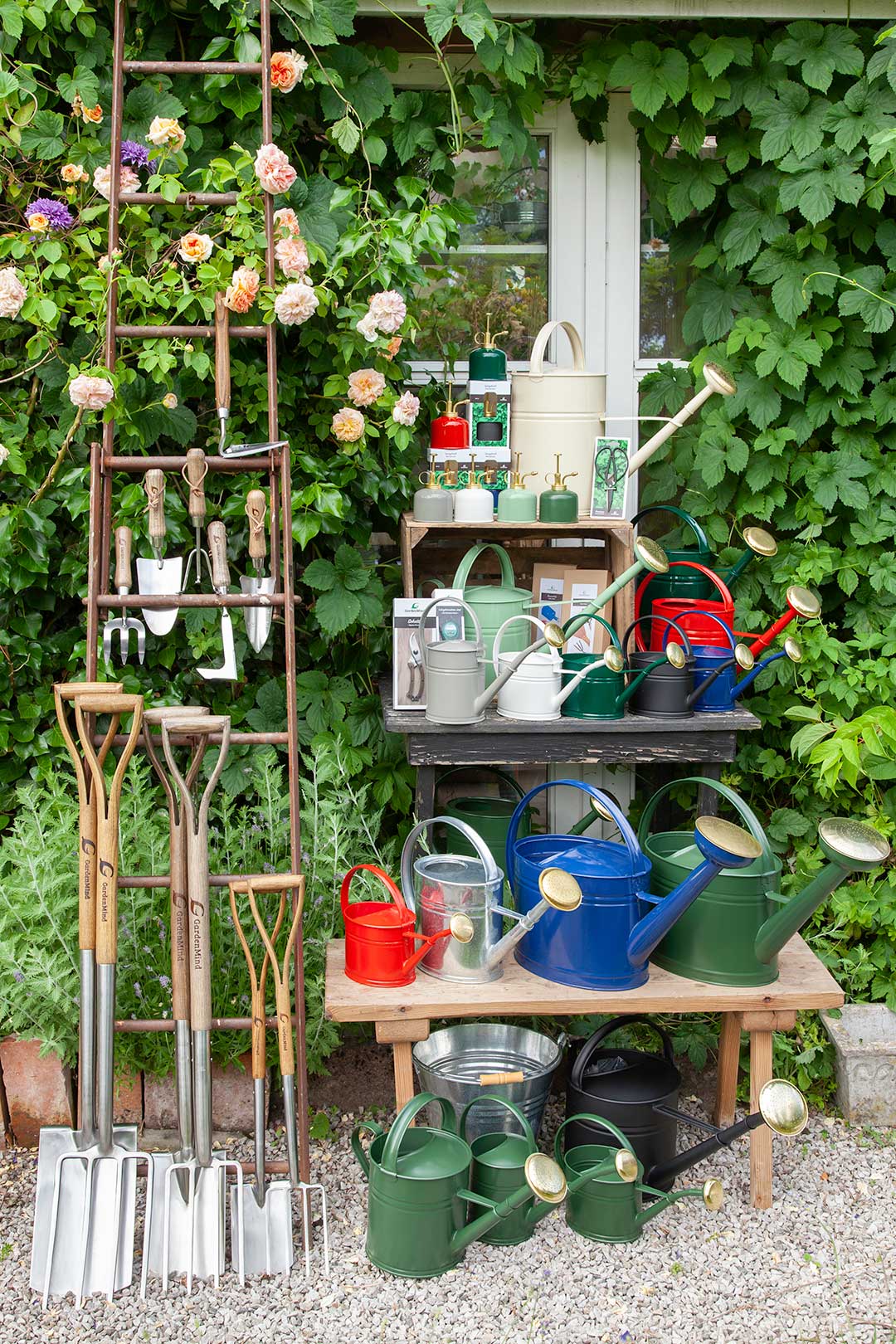 Annons:TE IMG_9194.jpg